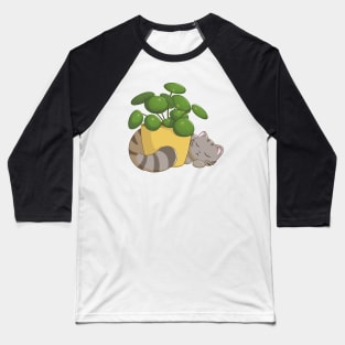 Cat With Pilea Plant Baseball T-Shirt